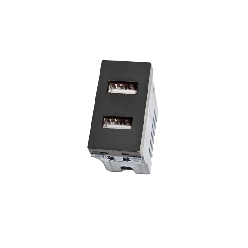 Modulo Toma USB Doble Tipo A Stanford Sec Grafito