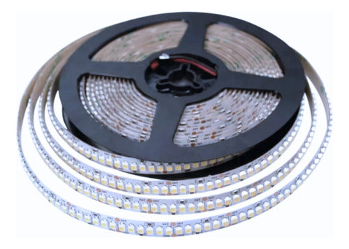 Cinta Led 24v Ip20 120led/m Adhesivo 5 Metros Konnergie Deus