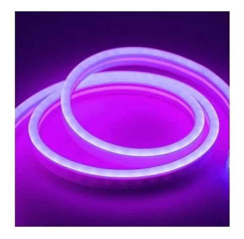 Cinta Led Neon 10 Metros + Conector Al 220v Colores A Elegir