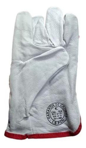 Guantes De Cabritilla Sin Forro Certificado Pack 10 Unidades