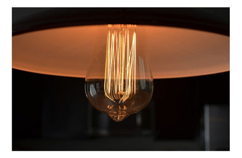 Ampolleta Filamento De Carbono Mini Edison Dimeable 40w E27