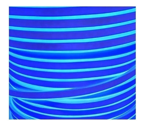 Cinta Led Neon 10 Metros + Conector Al 220v Colores A Elegir