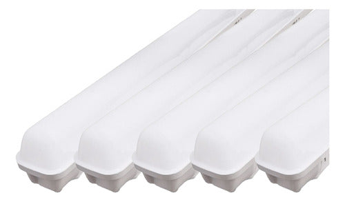 Pack de 5 Estancos LED Integrados 20W IP65 60cm