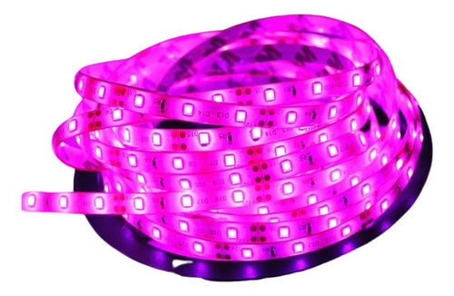 Cinta LED 220V 50 Metros con 1 Conector Flexible