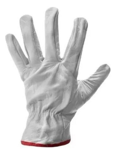 Guantes De Cabritilla Sin Forro Certificado Pack 10 Unidades