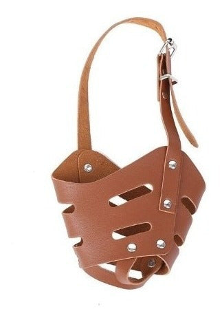 Bozal Protector Seguridad Para Perros Varios Tamaños - Deus Group