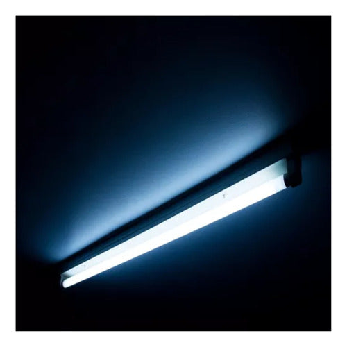 Tubo Led T8 9w 60cms Vidrio 900lm Want 2 Años Garantía