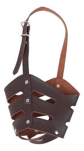 Bozal Protector Seguridad Para Perros Varios Tamaños - Deus Group