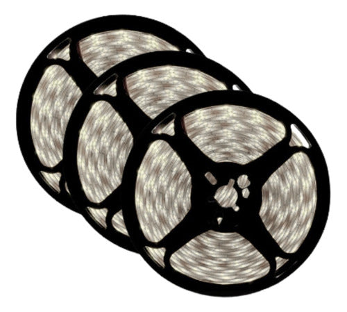 Cinta LED 12V 10W/Metro | 4000K | Adhesivo 5MT