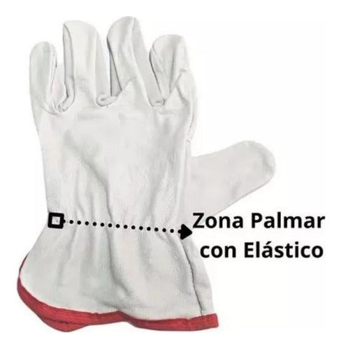 Guantes De Cabritilla Sin Forro Certificado Pack 10 Unidades