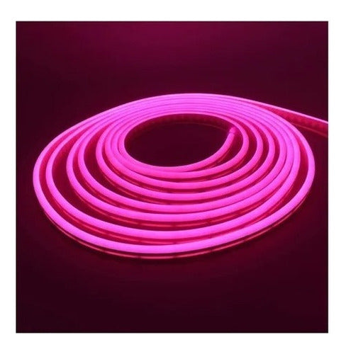 Cinta Led Neon 10 Metros + Conector Al 220v Colores A Elegir