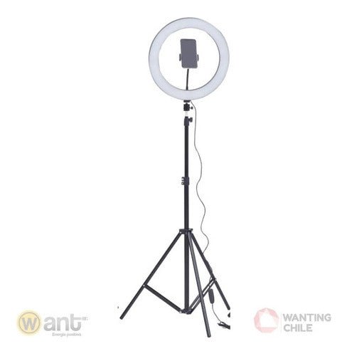 Aro Luz Led 36cm Dimeable + Tripode Ajustable 2 Mts Belleza