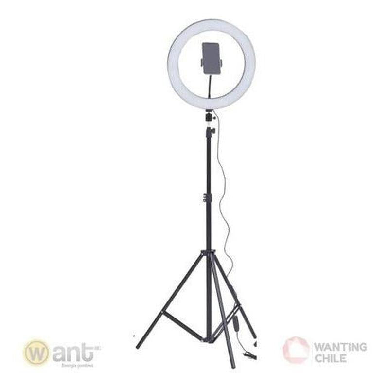 Aro Luz Led 36cm Dimeable + Tripode Ajustable 2 Mts Belleza - Mi tienda