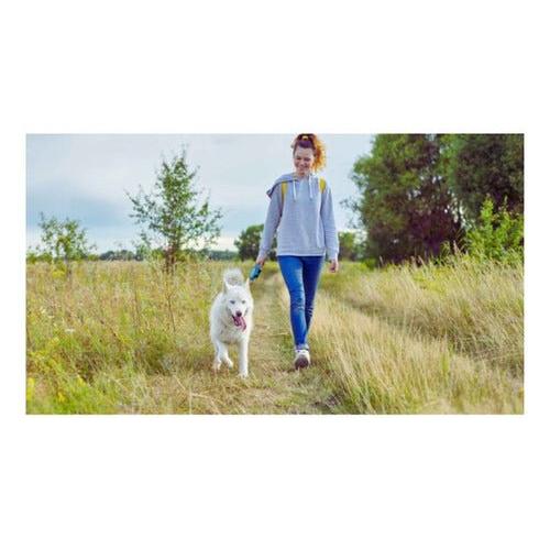 Correa Retractril Automatica Paseo Perro Mascotas 3 Metros - Mi tienda
