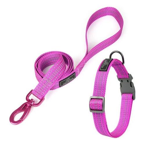 Linda Correa Para Mascotas Con Collar Perros - Mi tienda