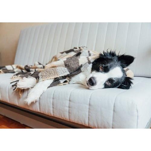 Manta Calida Diseños Varios Cobija Invierno Mascota 70*100 - Mi tienda