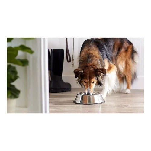 Plato Comedero Aluminio Grande Colores Para Mascotas Perros - Mi tienda