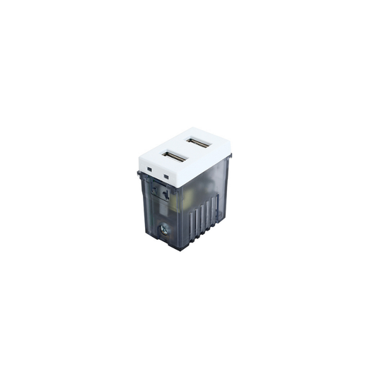 Toma Modulo Doble Usb 100-240v 5v Stanford Blanco