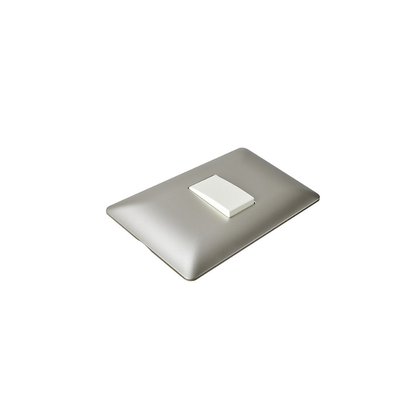 Interruptor Stanford Simple 1 Módulo 220v Certificado Sec Champagne