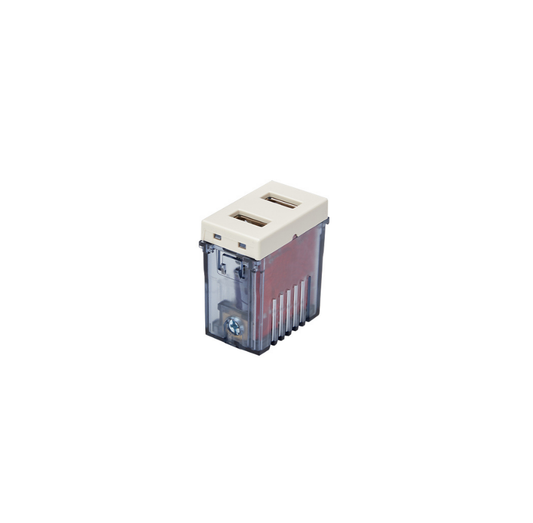 Toma Modulo Doble Usb 100-240v 5v Stanford Champagne