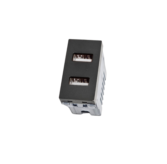 Modulo Toma USB Doble Tipo A Stanford Sec Grafito