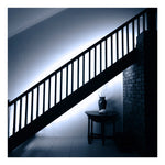 Cinta LED Neon 2835 Interior/Exterior 5 Metros - Deus Group