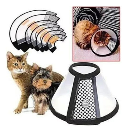 Collar Isabelino Para Mascotas Perro Y Gato Varios Tamaños - Deus Group 