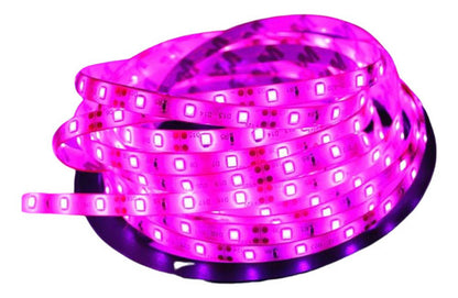 Cinta LED 220V 50 Metros con 1 Conector Flexible - Deus Group 