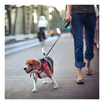Correa Retractril Automatica Paseo Perro Mascotas 5 Metros Color Azul - Deus Group