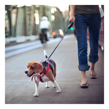 Correa Retractril Automatica Paseo Perro Mascotas 5 Metros Color Azul - Deus Group 