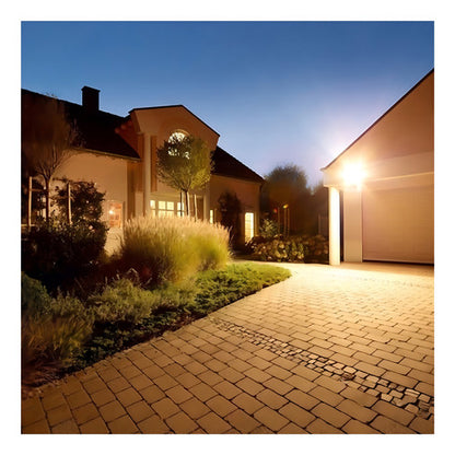 Foco Proyector De Área Led 100w Want Exterior Ip65 Sec Color De La Carcasa Negra Color De La Luz Luz Fria 6000k - Deus Group 