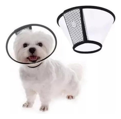 Collar Isabelino Para Mascotas Perro Y Gato Varios Tamaños - Deus Group 
