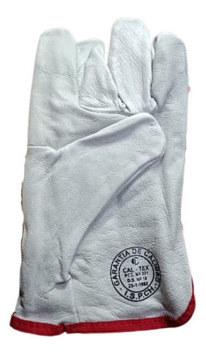 Guantes De Cabritilla Con Forro Certificado Pack 10 Unidades - Deus Group 