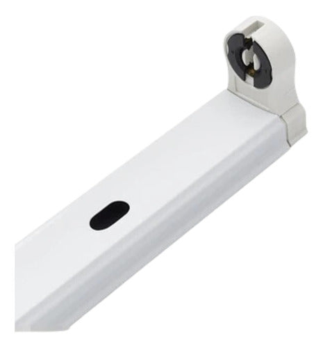 Base Canoa Simple Tubo Led 220v 120cm - Deus Group 
