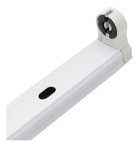 Base Canoa Simple Tubo Led 220v 60cm - Deus Group 