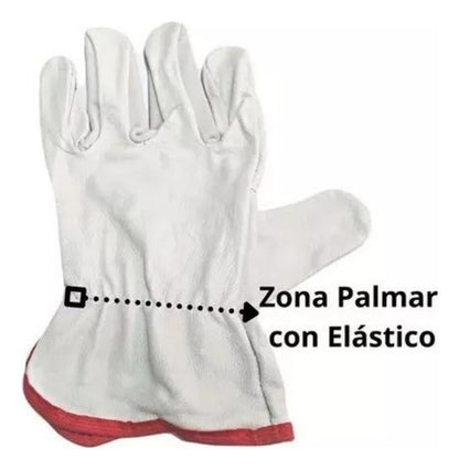 Guantes De Cabritilla Sin Forro Certificado Pack 10 Unidades - Deus Group 