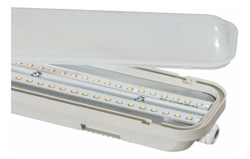 Canoa Estanco Led Integrado 20w Ip65 100lm/w 60cm - Deus Group 