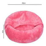 cama cálida y cómoda con manta para mascotas pequeñas - Mi tienda
