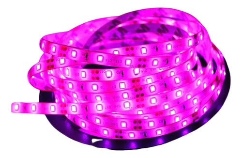 Cinta Led Blanca Impermeable 15 Metros Con Conector Al 220v