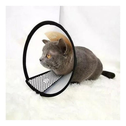Collar Isabelino Para Mascotas Perro Y Gato Varios Tamaños - Mi tienda 