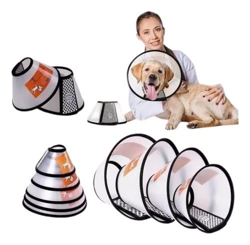 Collar Isabelino Para Mascotas Perro Y Gato Varios Tamaños - Mi tienda 