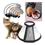 Collar Isabelino Para Mascotas Perro Y Gato Varios Tamaños - Mi tienda