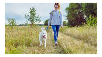 Correa Retractril Automatica Paseo Perro Mascotas 3 Metros - Mi tienda 