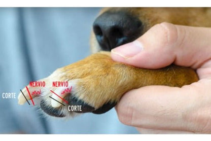 Corta Uñas Tipo Tijeras Perros Gatos Mascotas Aves Con Lima - Mi tienda 