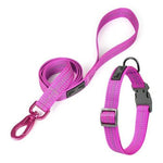Linda Correa Para Mascotas Con Collar Perros - Mi tienda
