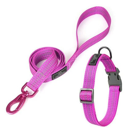 Linda Correa Para Mascotas Con Collar Perros - Mi tienda 