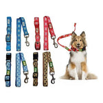 Linda Correa Para Mascotas Con Collar Perros - Mi tienda