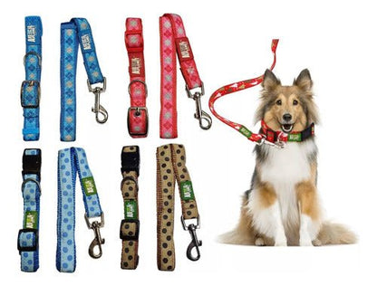 Linda Correa Para Mascotas Con Collar Perros - Mi tienda 