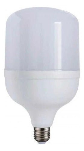 Pack de 2 Ampolletas LED T100 30W E27 Empavonadas - Mi tienda 