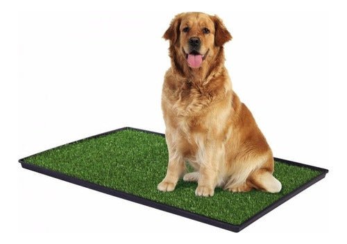 Pet Potty Comodo Sanitario Baño Ecologico Xxl Perros Y Gatos